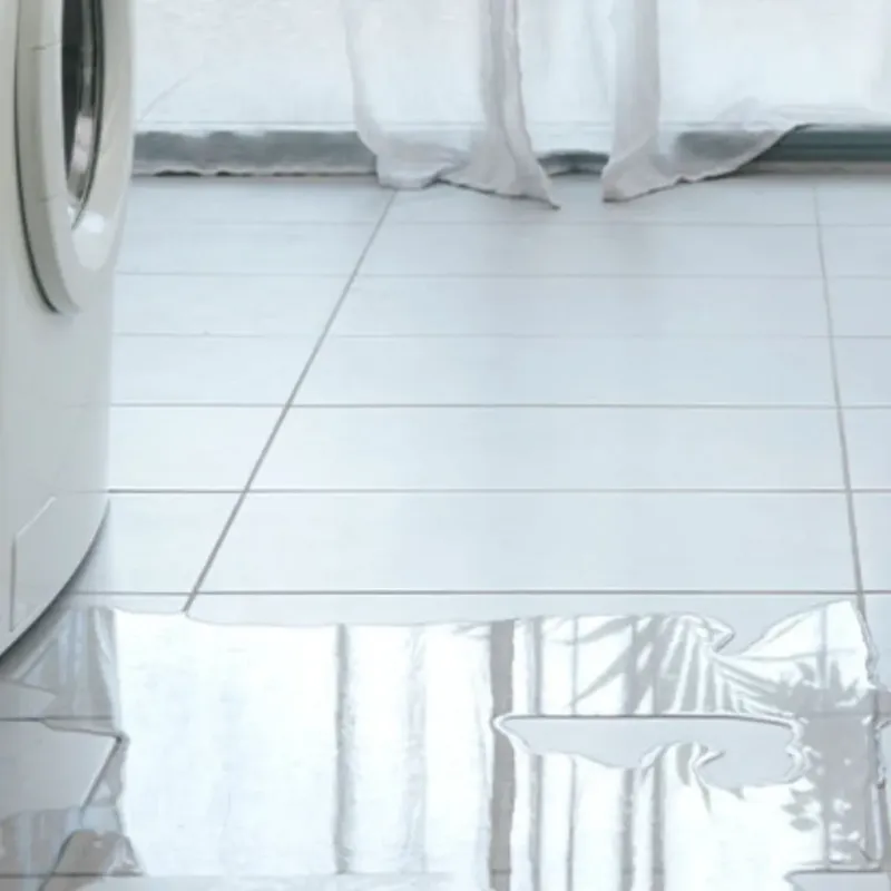 Appliance Leak Cleanup in Pittsfield, IL