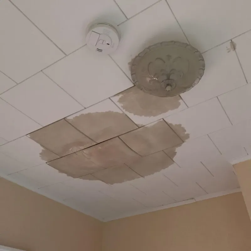 Ceiling Water Damage Repair in Pittsfield, IL