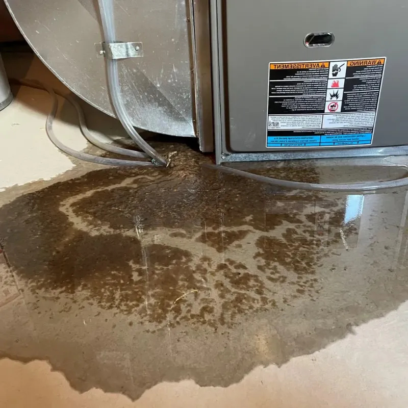 Pipe Burst and Leak Restoration in Pittsfield, IL