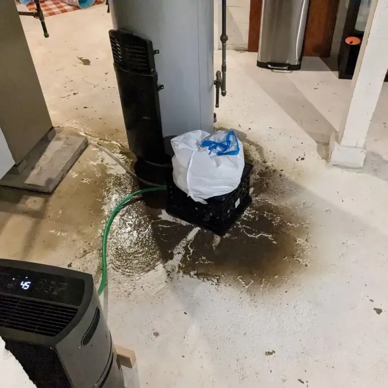 Sewage Backup Cleanup Service in Pittsfield, IL